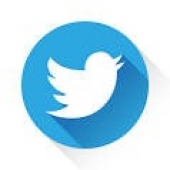gallery/twitter logo